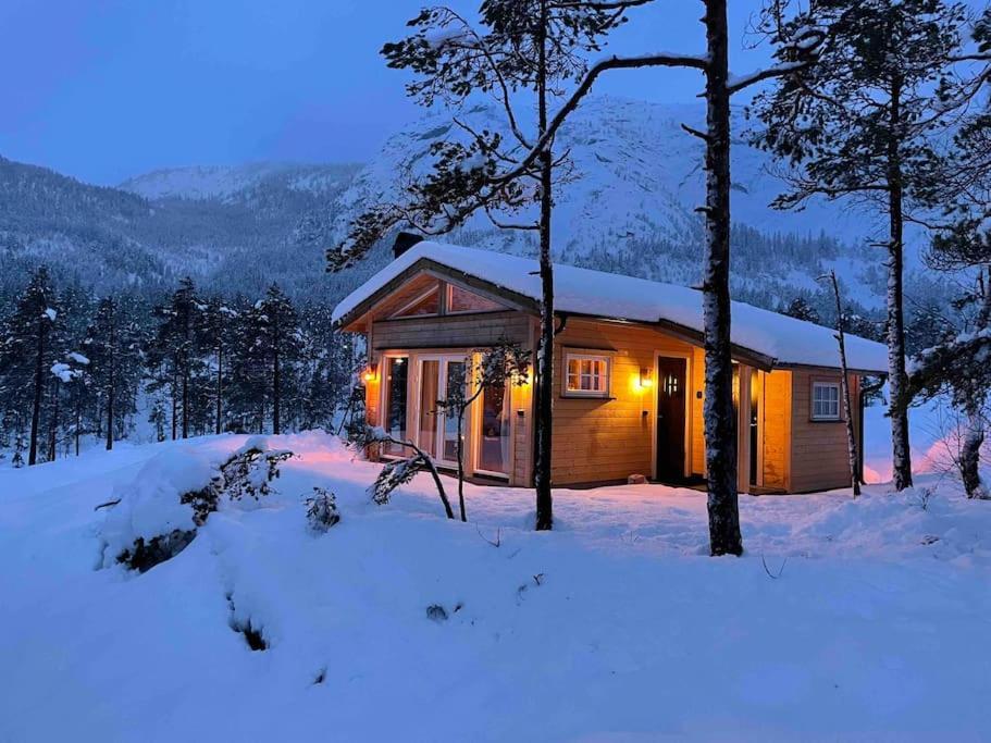 Cosy Cabin Between Lake And Mountain Treungen Luaran gambar