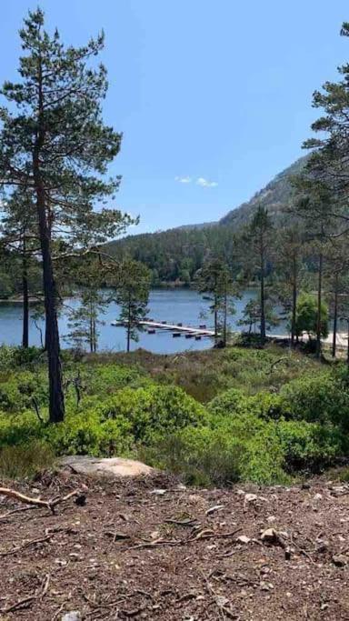 Cosy Cabin Between Lake And Mountain Treungen Luaran gambar